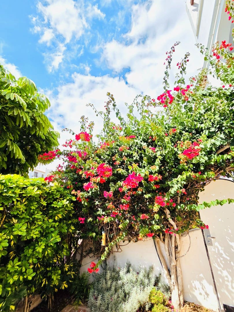 3 sypialnia Apartament na sprzedaż w Amarilla Golf z basenem - 395 000 € (Ref: 9353871)