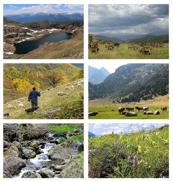 6 quarto Quinta/Casa Rural para venda em La Guingueta d'Aneu - 75 000 € (Ref: 9326738)