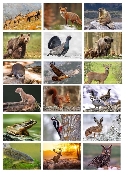 6 quarto Quinta/Casa Rural para venda em La Guingueta d'Aneu - 75 000 € (Ref: 9326738)