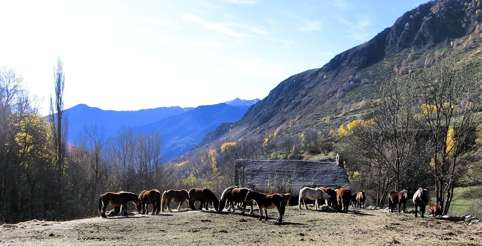 6 quarto Quinta/Casa Rural para venda em La Guingueta d'Aneu - 75 000 € (Ref: 9326738)