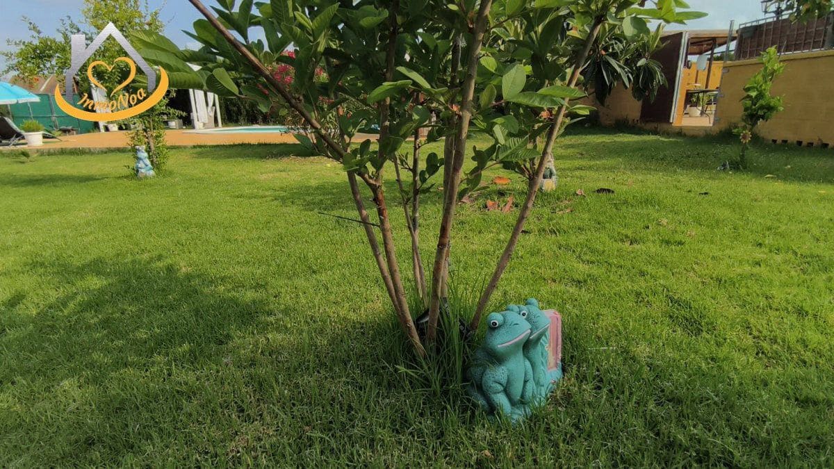 5 chambre Finca/Maison de Campagne à vendre à Aljaraque - 595 000 € (Ref: 9383347)