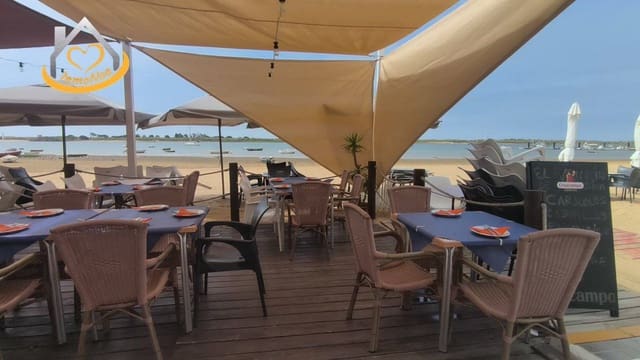 Commercial for sale in Cartaya - € 475,000 (Ref: 9383349)