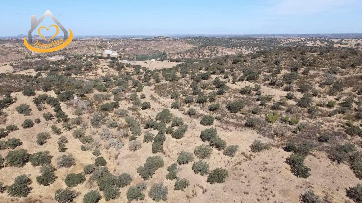 2 slaapkamer Finca/Landhuis te koop in Puebla de Guzman - € 600.000 (Ref: 9383352)