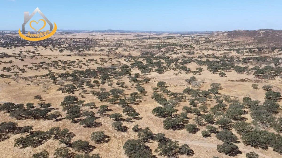 2 slaapkamer Finca/Landhuis te koop in Puebla de Guzman - € 600.000 (Ref: 9383352)