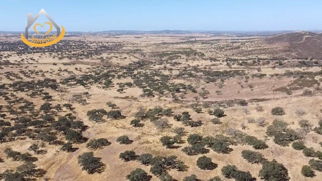 2 slaapkamer Finca/Landhuis te koop in Puebla de Guzmán - € 600.000 (Ref: 9383352)