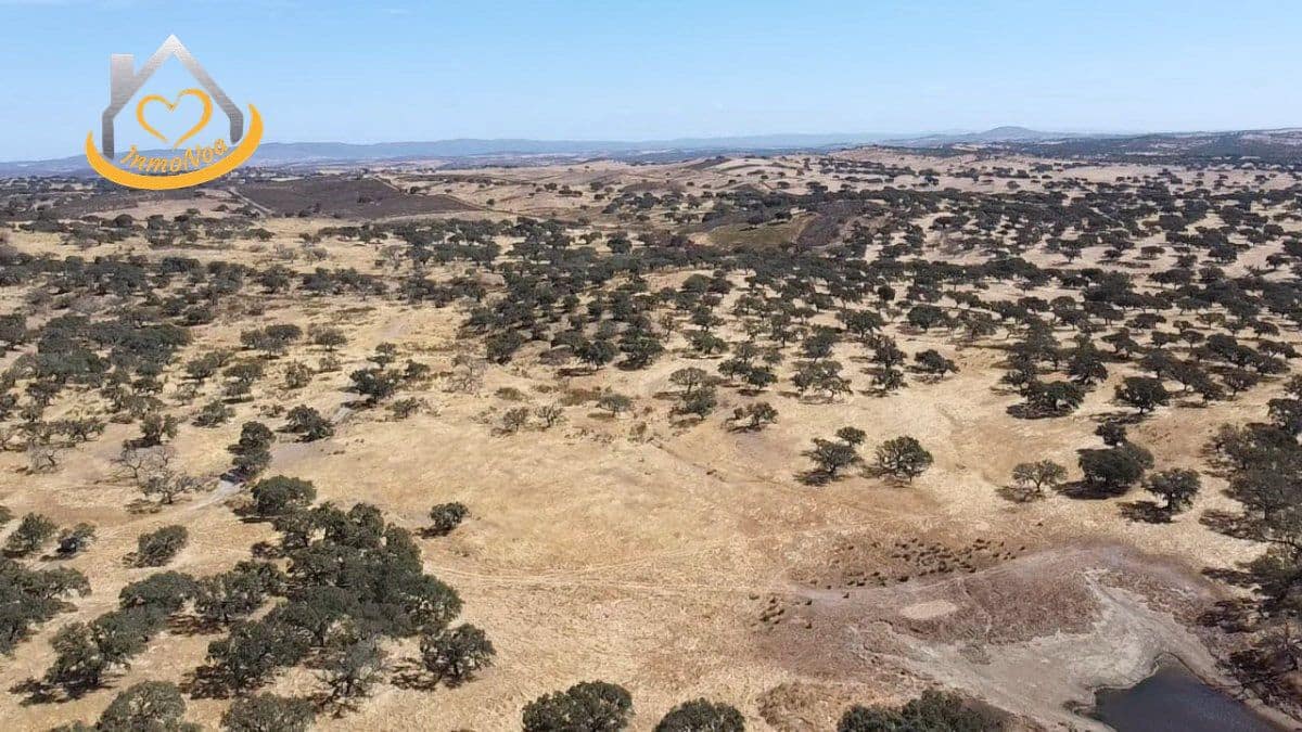 2 slaapkamer Finca/Landhuis te koop in Puebla de Guzman - € 600.000 (Ref: 9383352)