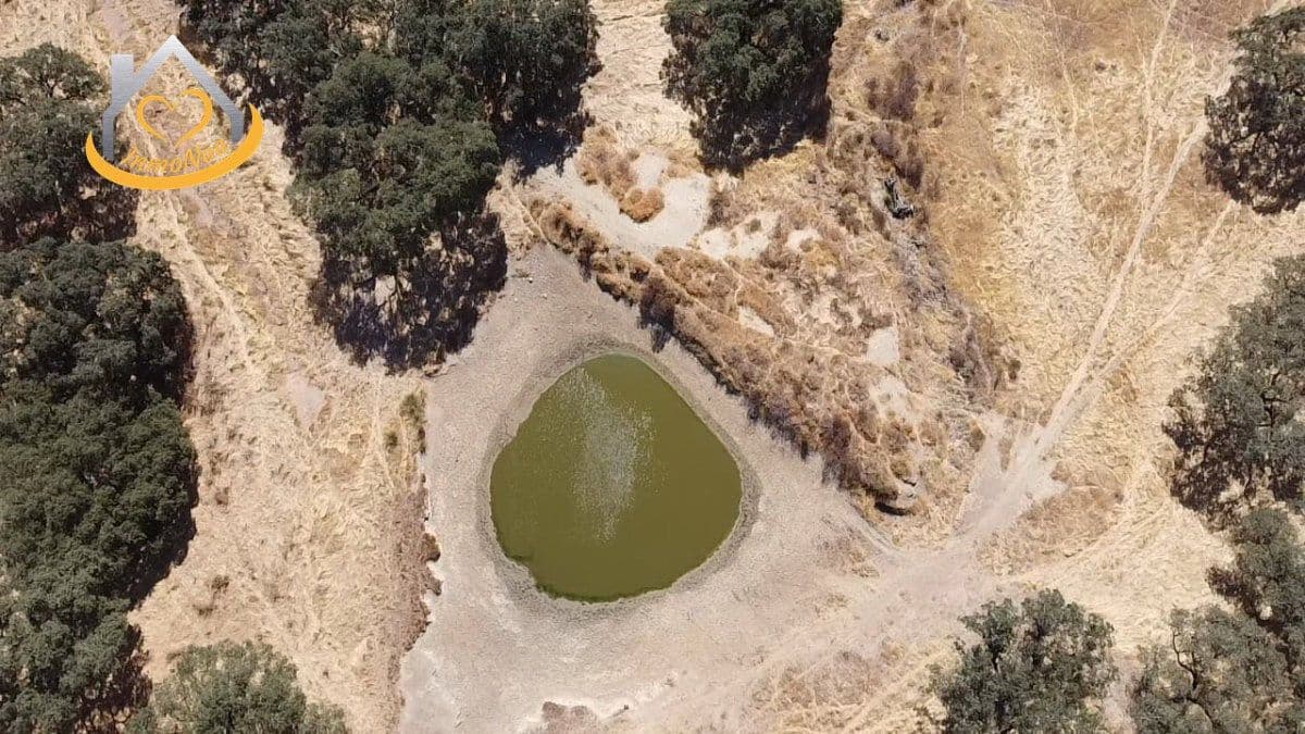 2 slaapkamer Finca/Landhuis te koop in Puebla de Guzman - € 600.000 (Ref: 9383352)