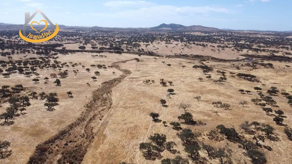 2 slaapkamer Finca/Landhuis te koop in Puebla de Guzman - € 600.000 (Ref: 9383352)