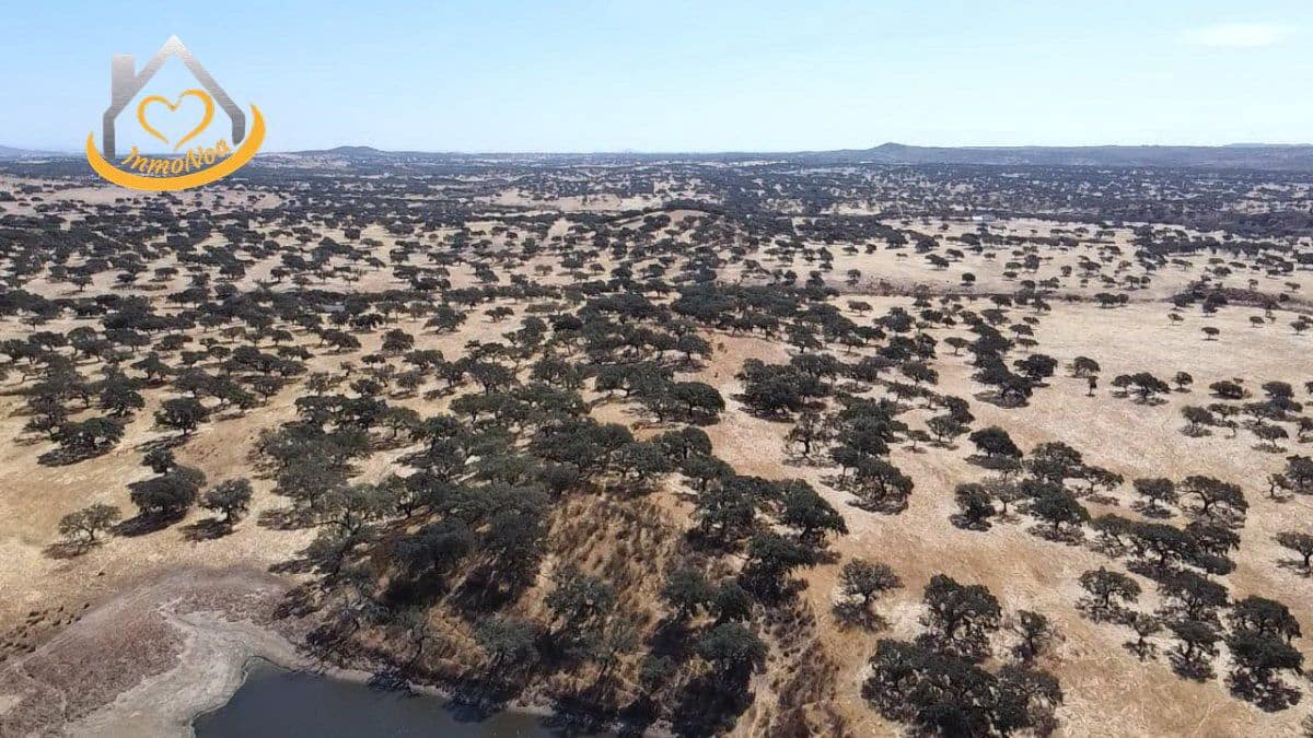 2 slaapkamer Finca/Landhuis te koop in Puebla de Guzman - € 600.000 (Ref: 9383352)