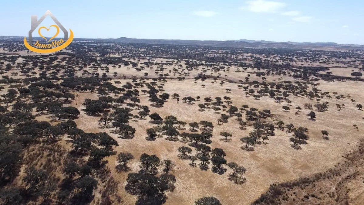 2 slaapkamer Finca/Landhuis te koop in Puebla de Guzman - € 600.000 (Ref: 9383352)