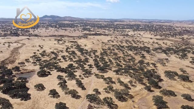 2 slaapkamer Finca/Landhuis te koop in Puebla de Guzmán - € 600.000 (Ref: 9383352)