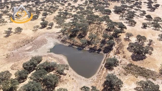 2 slaapkamer Finca/Landhuis te koop in Puebla de Guzmán - € 600.000 (Ref: 9383352)