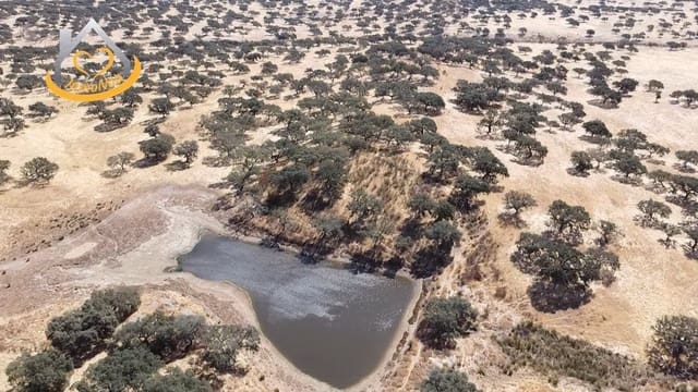 2 slaapkamer Finca/Landhuis te koop in Puebla de Guzmán - € 600.000 (Ref: 9383352)