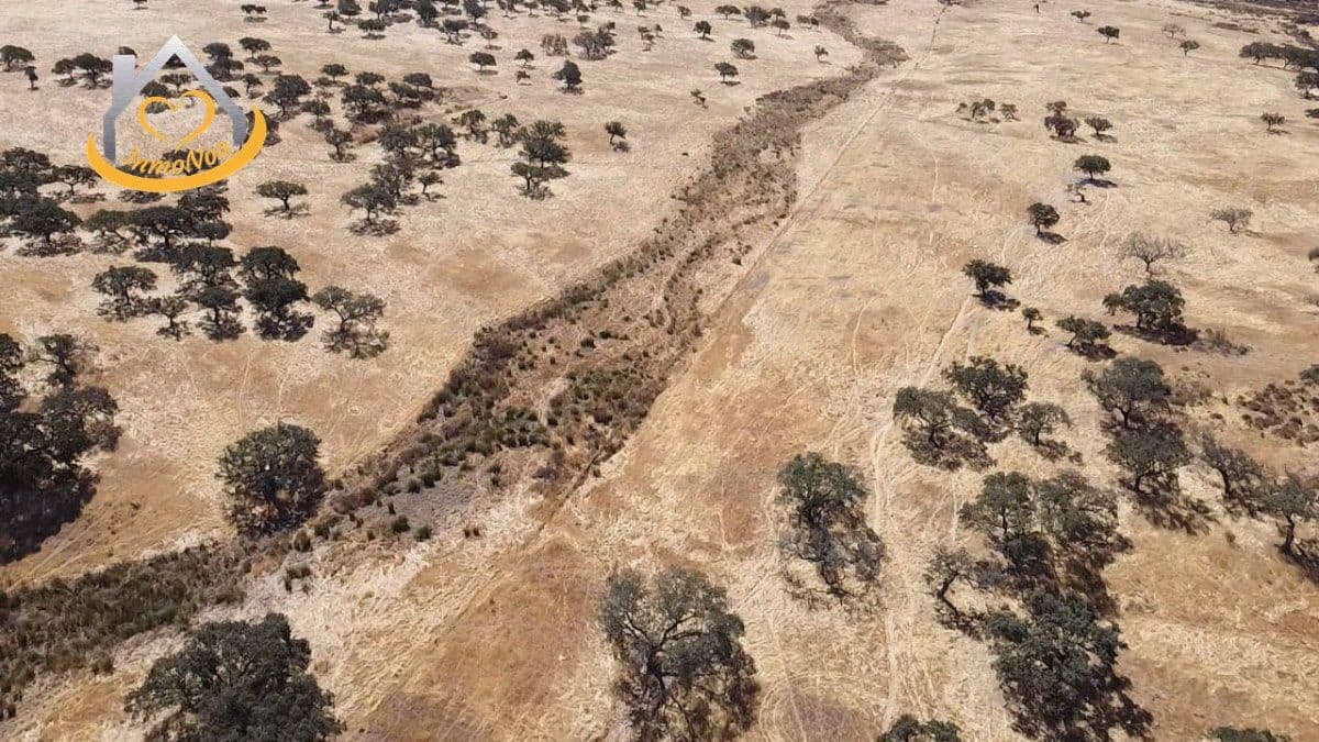 2 slaapkamer Finca/Landhuis te koop in Puebla de Guzman - € 600.000 (Ref: 9383352)