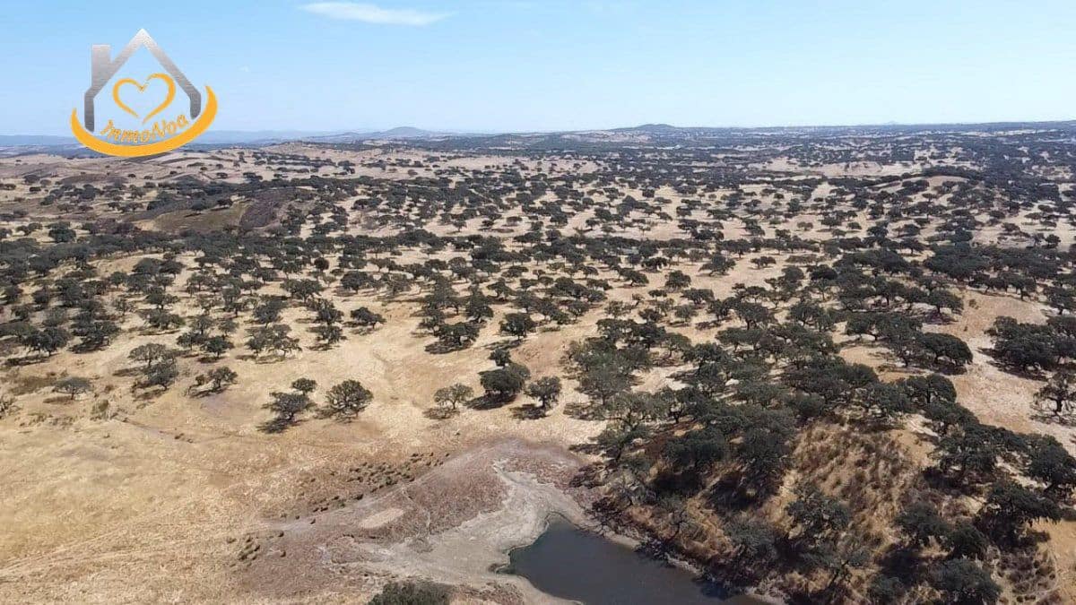 2 slaapkamer Finca/Landhuis te koop in Puebla de Guzman - € 600.000 (Ref: 9383352)