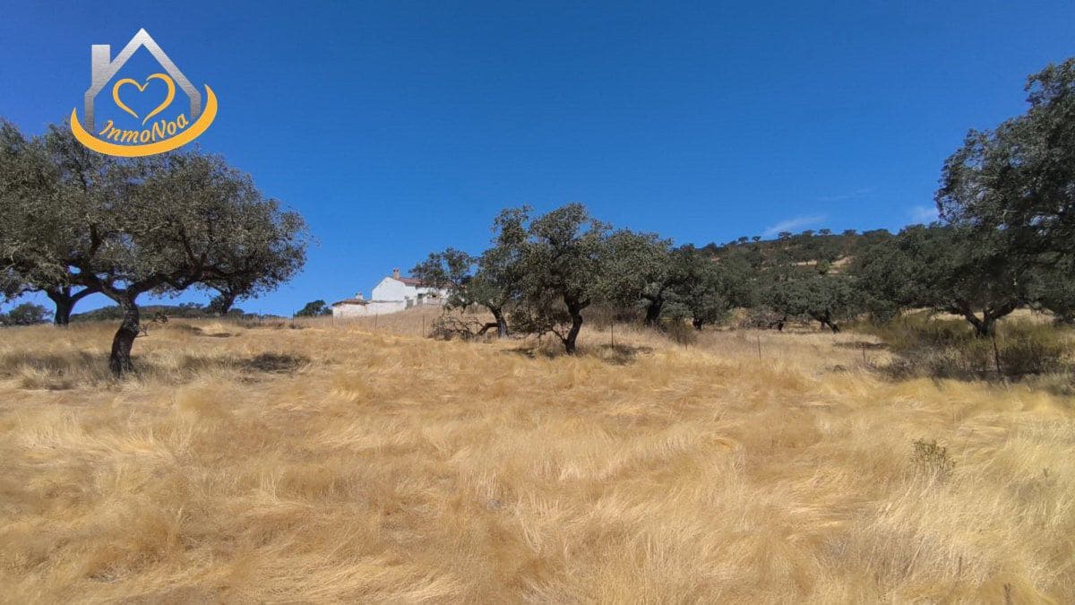 2 slaapkamer Finca/Landhuis te koop in Puebla de Guzman - € 600.000 (Ref: 9383352)