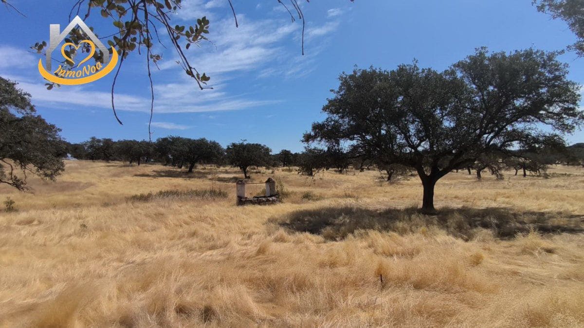 2 slaapkamer Finca/Landhuis te koop in Puebla de Guzman - € 600.000 (Ref: 9383352)