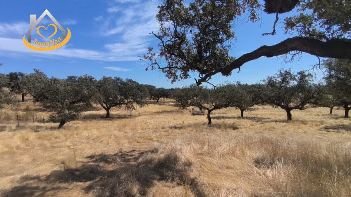 2 slaapkamer Finca/Landhuis te koop in Puebla de Guzman - € 600.000 (Ref: 9383352)