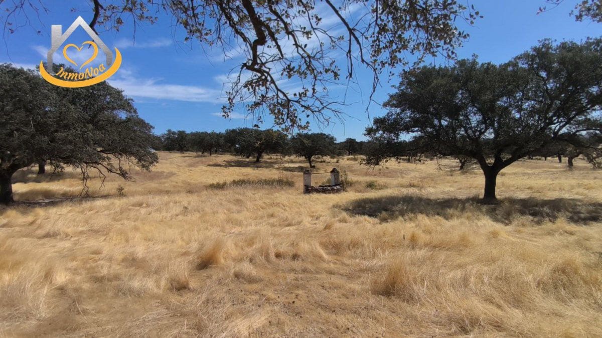 2 slaapkamer Finca/Landhuis te koop in Puebla de Guzman - € 600.000 (Ref: 9383352)