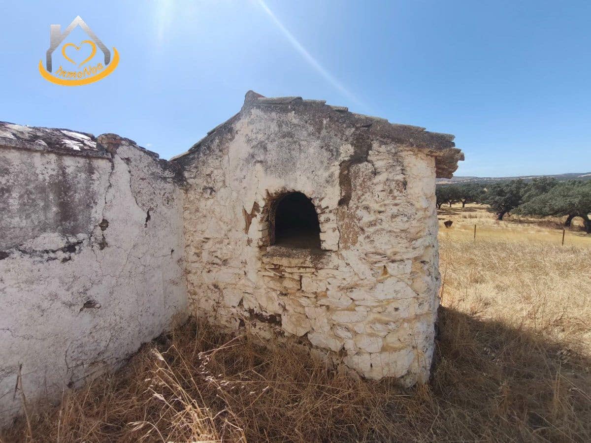 2 slaapkamer Finca/Landhuis te koop in Puebla de Guzman - € 600.000 (Ref: 9383352)