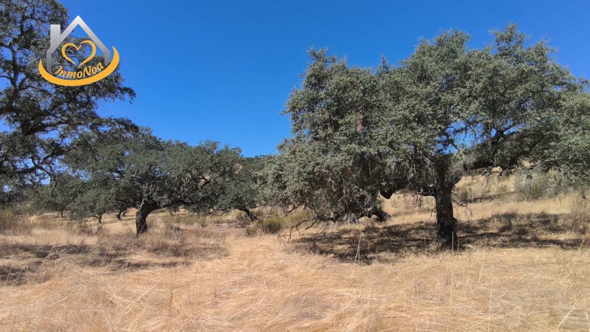 2 slaapkamer Finca/Landhuis te koop in Puebla de Guzman - € 600.000 (Ref: 9383352)