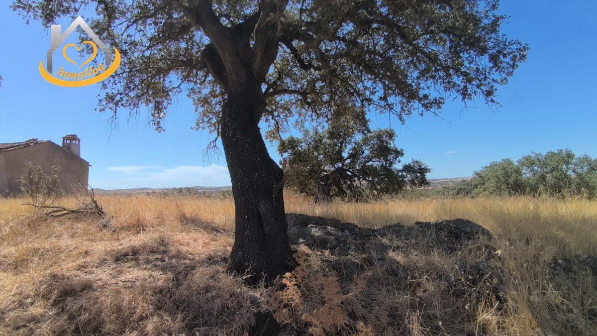 2 slaapkamer Finca/Landhuis te koop in Puebla de Guzman - € 600.000 (Ref: 9383352)