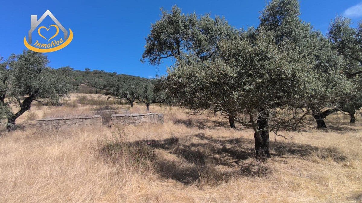 2 slaapkamer Finca/Landhuis te koop in Puebla de Guzman - € 600.000 (Ref: 9383352)