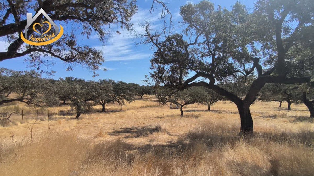 2 slaapkamer Finca/Landhuis te koop in Puebla de Guzman - € 600.000 (Ref: 9383352)