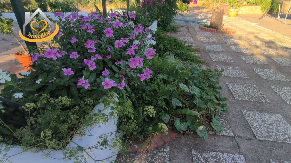 2 slaapkamer Finca/Landhuis te koop in Ayamonte - € 379.999 (Ref: 9383356)