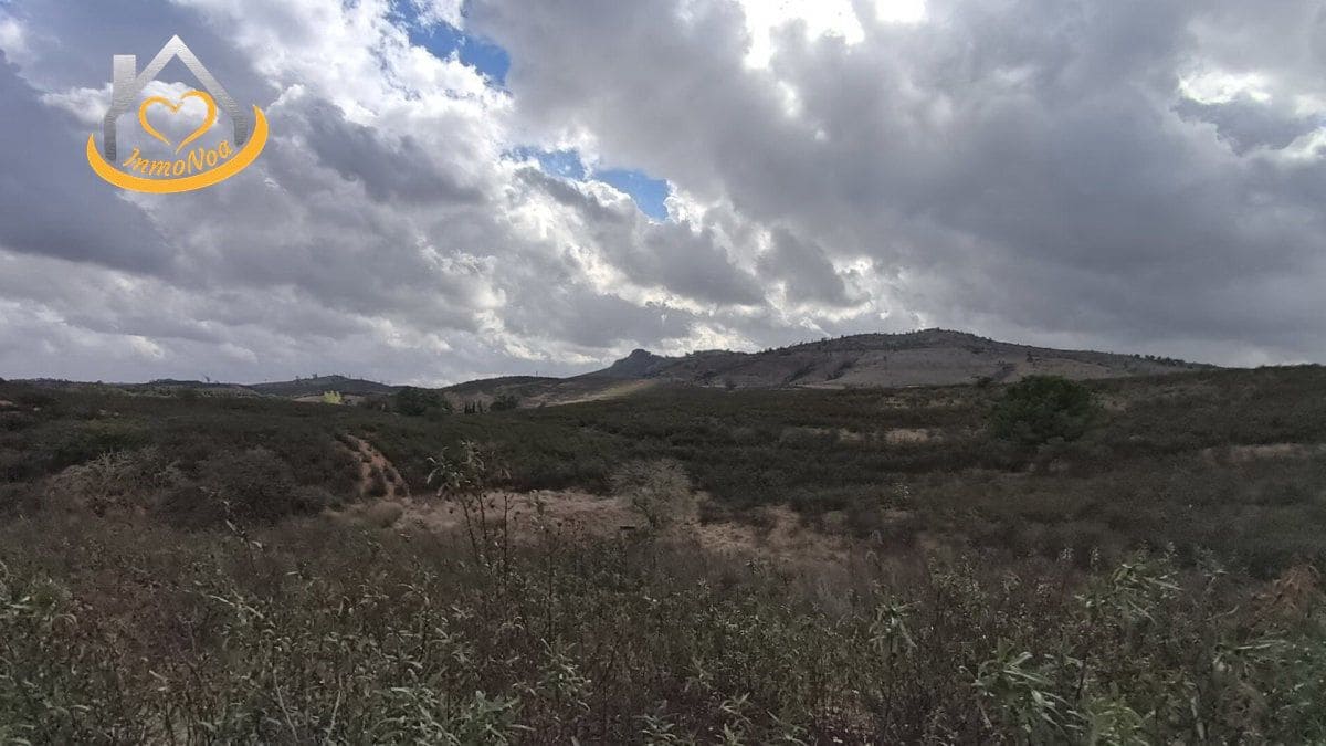 7 soveværelse Finca/Landehus til salg i Puebla de Guzman - € 2.350.000 (Ref: 9410727)