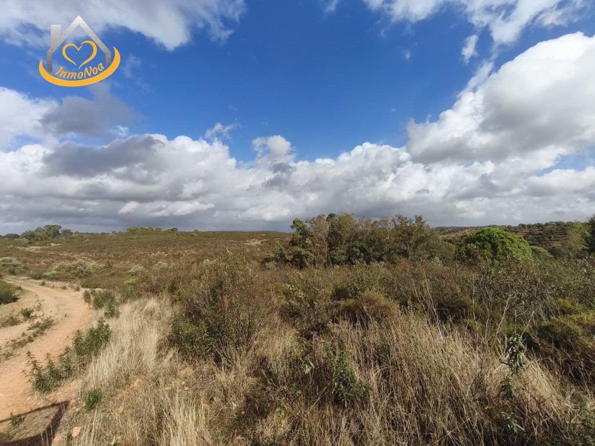 7 soveværelse Finca/Landehus til salg i Puebla de Guzman - € 2.350.000 (Ref: 9410727)