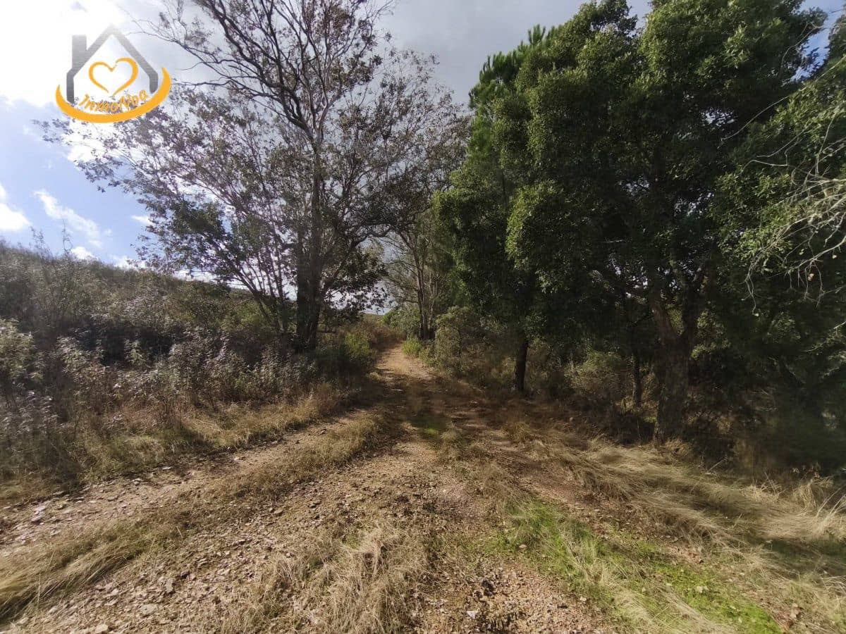 7 soveværelse Finca/Landehus til salg i Puebla de Guzman - € 2.350.000 (Ref: 9410727)