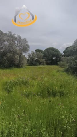 5 slaapkamer Finca/Landhuis te koop in Isla Cristina - € 319.000 (Ref: 9780266)