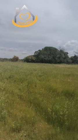 5 slaapkamer Finca/Landhuis te koop in Isla Cristina - € 319.000 (Ref: 9780266)