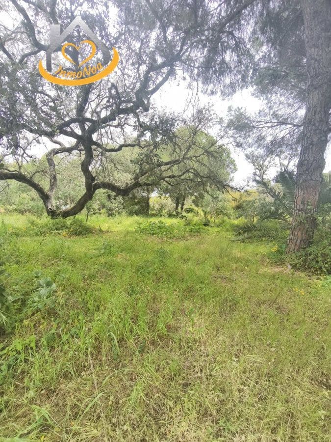 5 soverom Finca/Herregård til salgs i Isla Cristina - € 319 000 (Ref: 9780266)