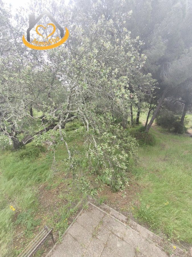 5 soverom Finca/Herregård til salgs i Isla Cristina - € 319 000 (Ref: 9780266)