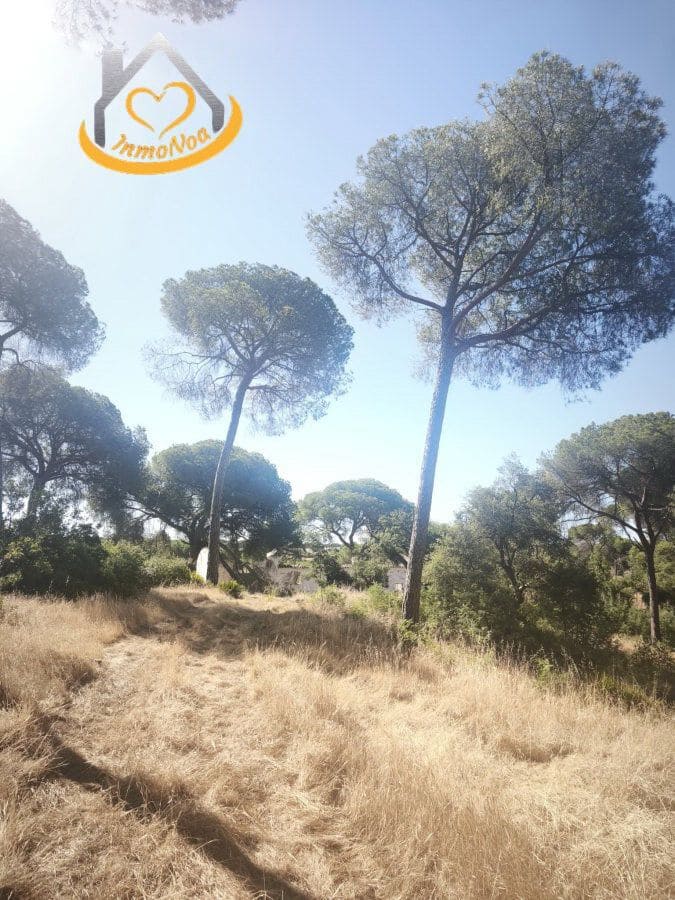 Finca/Landgut zu verkaufen in Moguer - 120.000 € (Ref: 9893901)