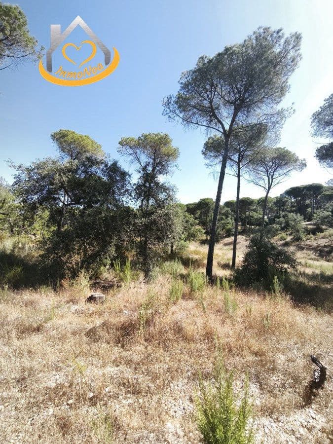 Finca/Landgut zu verkaufen in Moguer - 120.000 € (Ref: 9893901)