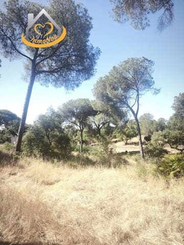 Finca/Country House for sale in Moguer - € 120,000 (Ref: 9893901)