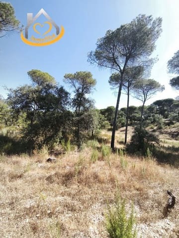 Finca/Country House for sale in Moguer - € 120,000 (Ref: 9893901)