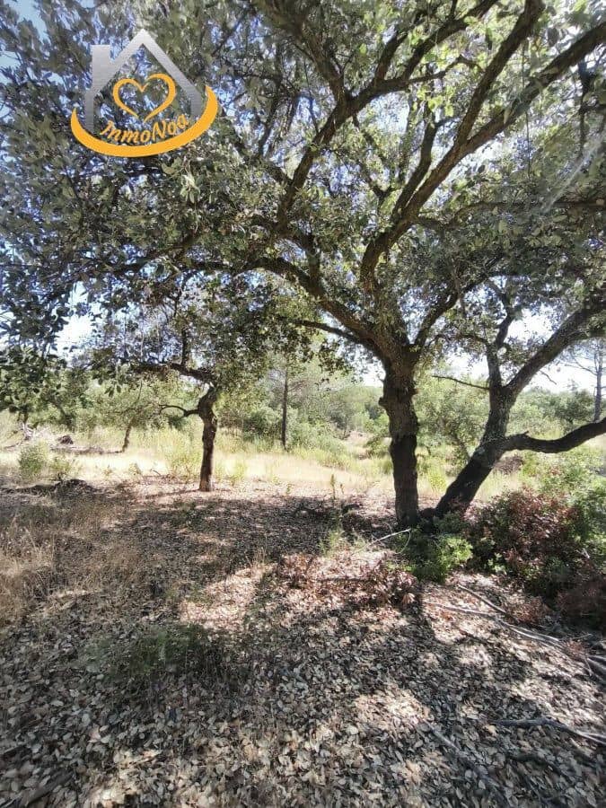 Finca/Landgut zu verkaufen in Moguer - 120.000 € (Ref: 9893901)