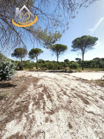 Finca/Country House for sale in Moguer - € 120,000 (Ref: 9893901)