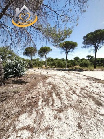 Finca/Country House for sale in Moguer - € 120,000 (Ref: 9893901)