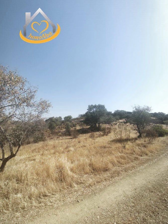 Finca/Landgut zu verkaufen in Sanlucar de Guadiana - 150.000 € (Ref: 9952050)