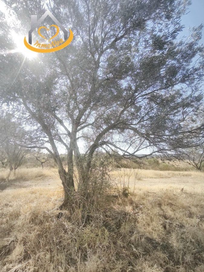 Finca/Landgut zu verkaufen in Sanlucar de Guadiana - 150.000 € (Ref: 9952050)