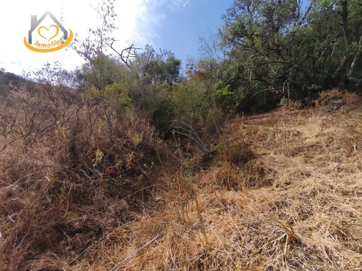 Finca/Herregård til salgs i Sanlucar de Guadiana - € 63 000 (Ref: 9974929)