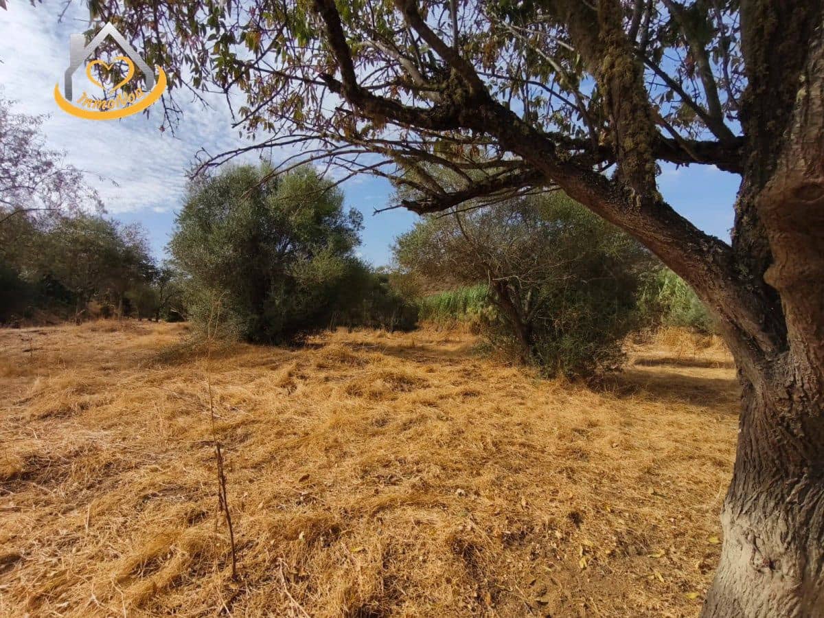 Finca/Herregård til salgs i Sanlucar de Guadiana - € 63 000 (Ref: 9974929)