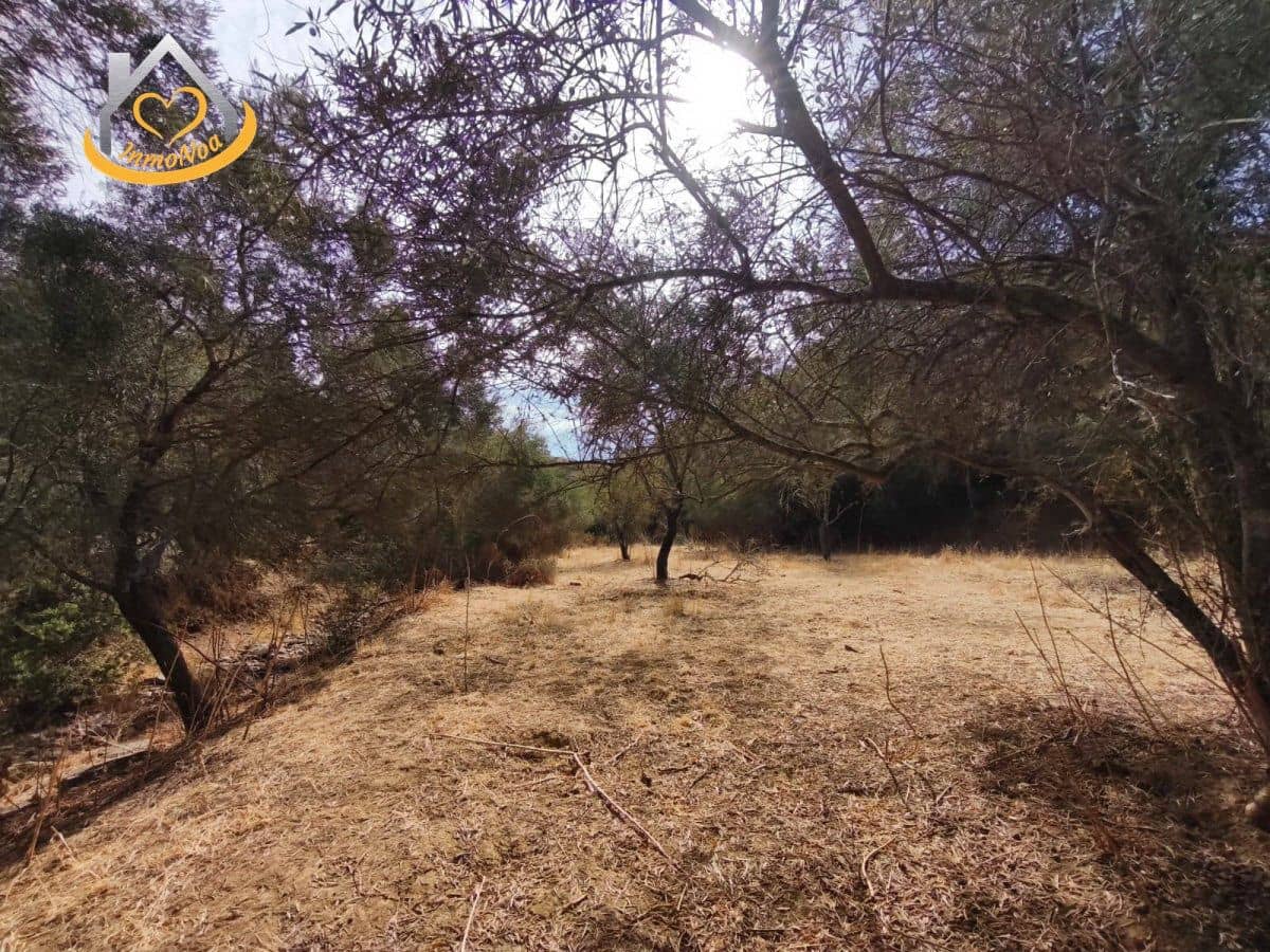 Finca/Herregård til salgs i Sanlucar de Guadiana - € 63 000 (Ref: 9974929)