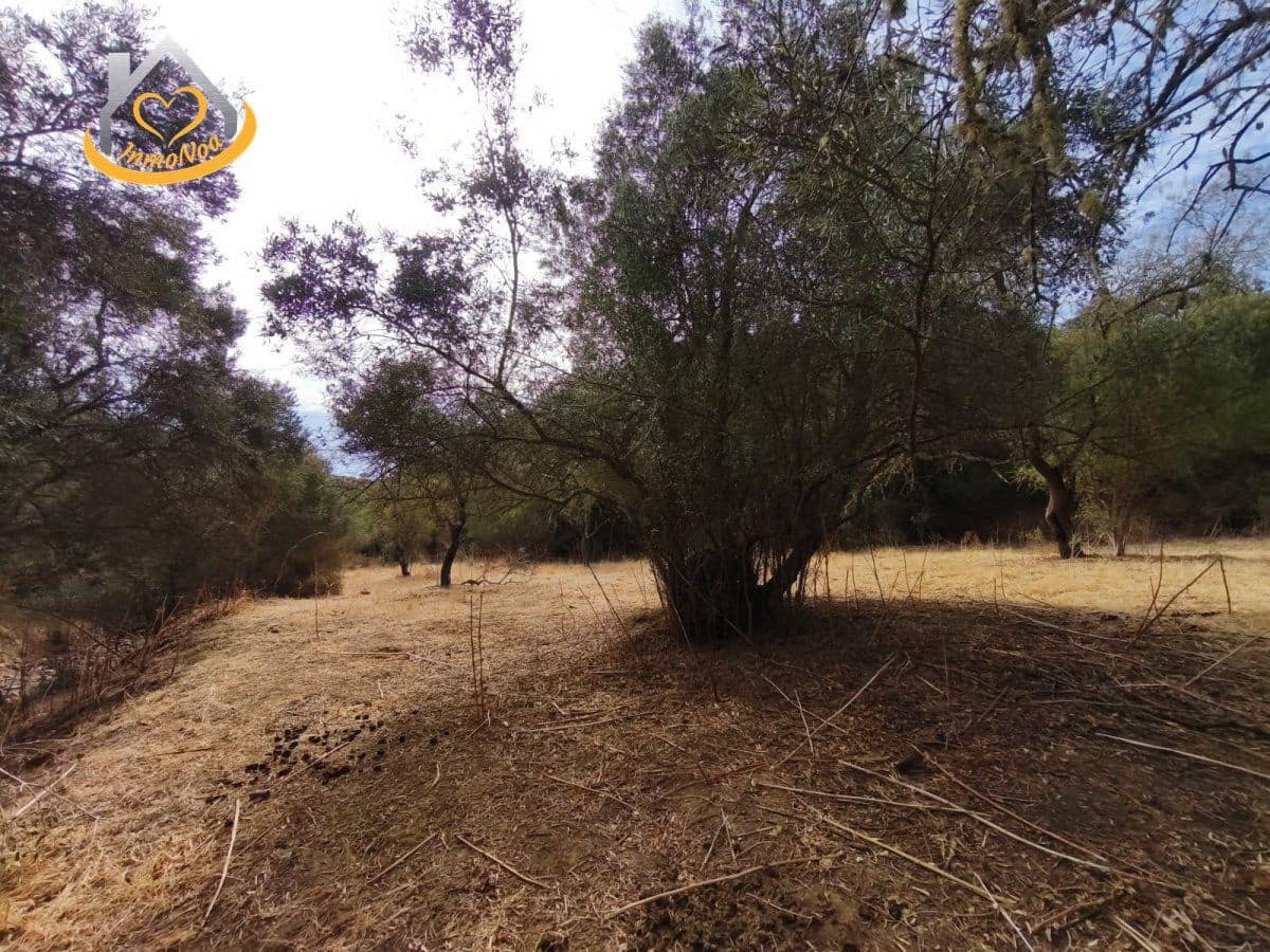Finca/Herregård til salgs i Sanlucar de Guadiana - € 63 000 (Ref: 9974929)