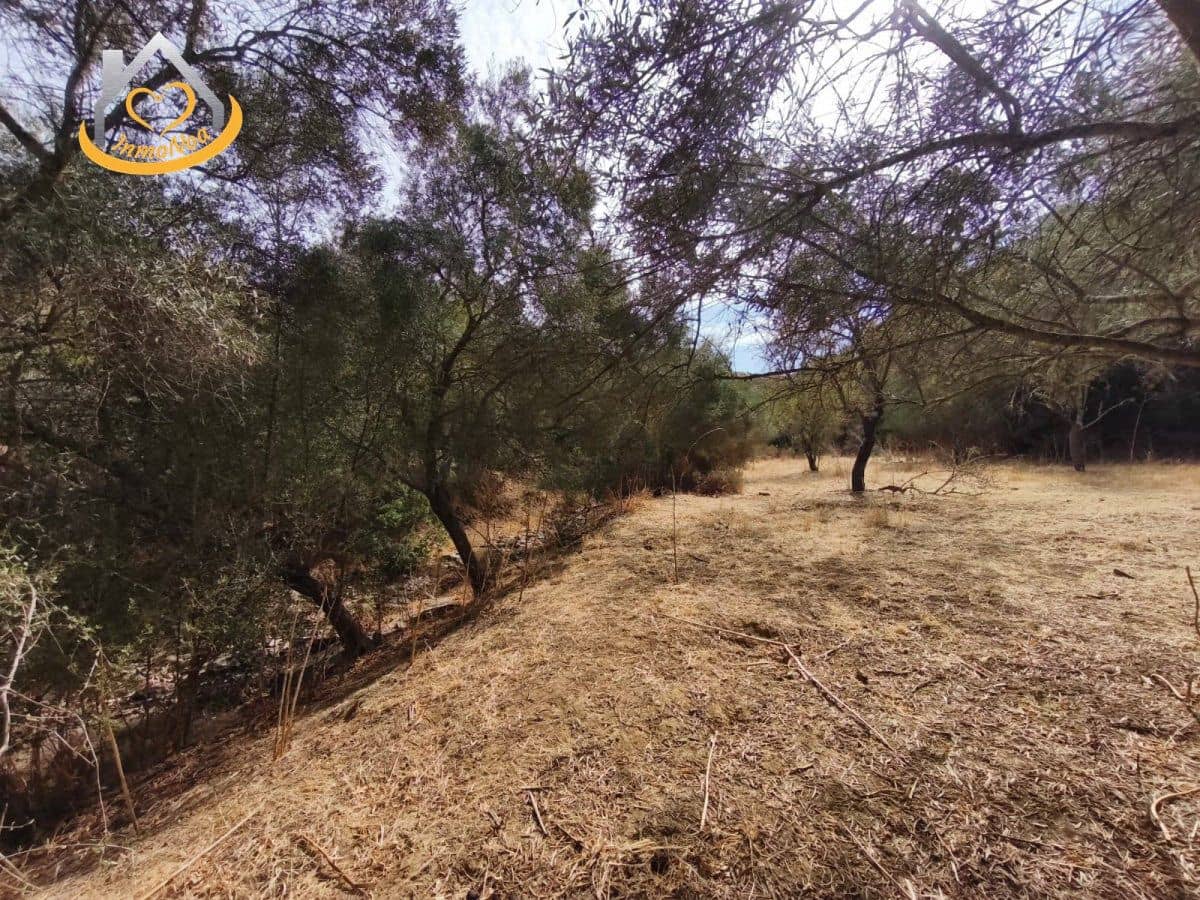 Finca/Herregård til salgs i Sanlucar de Guadiana - € 63 000 (Ref: 9974929)